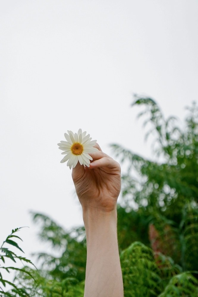 Photograph by Арби Макаев