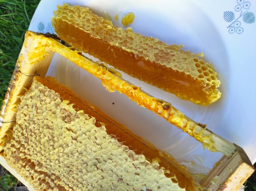 Photograph by Лидия Самойлова