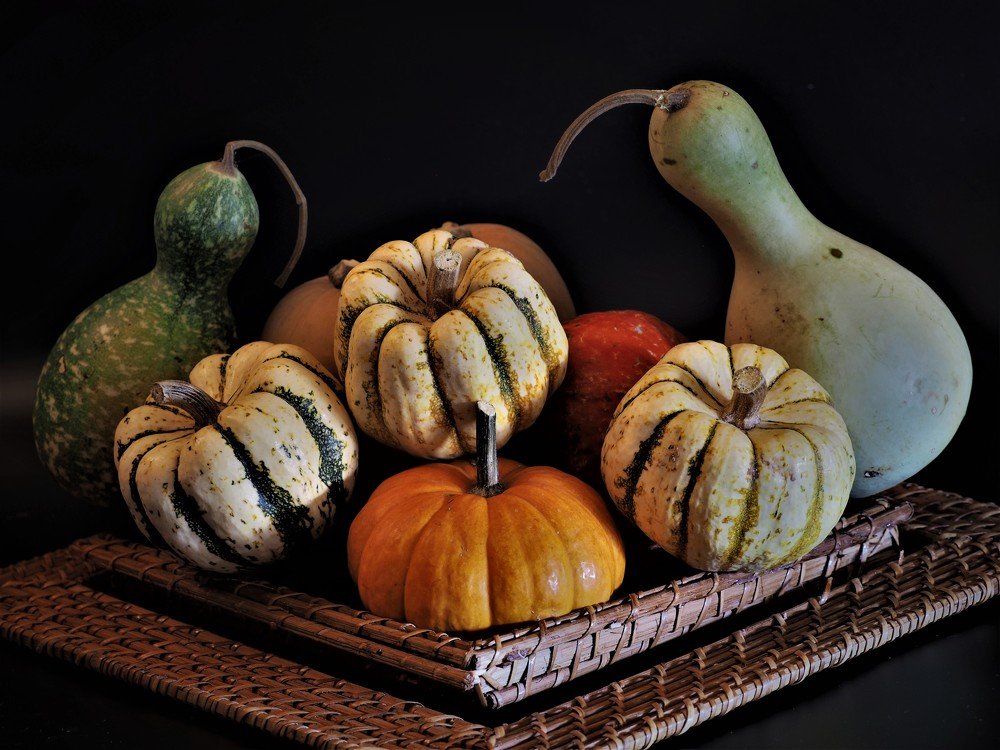 Photograph by Feyyaz Taylan