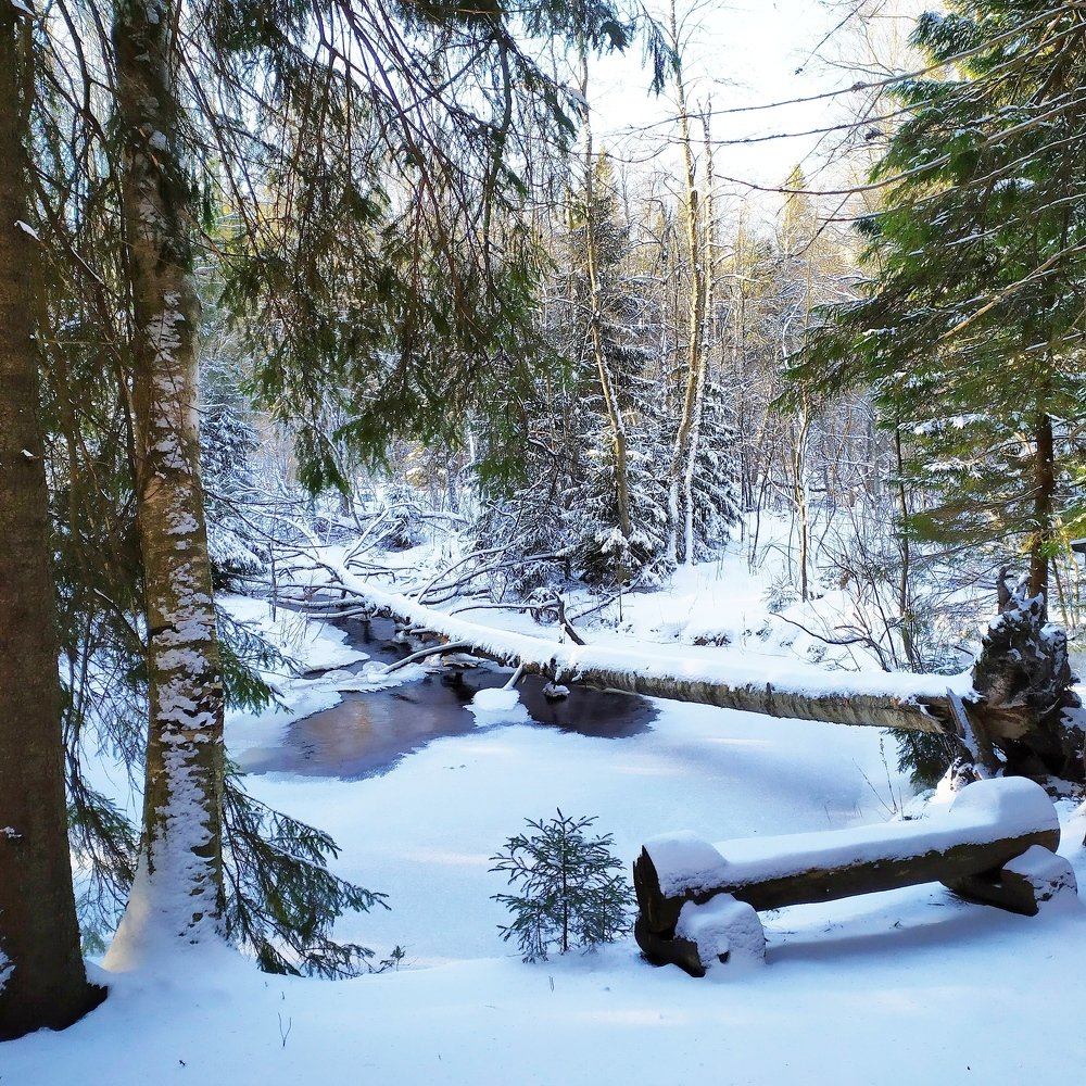 Photograph by Елена Павлова