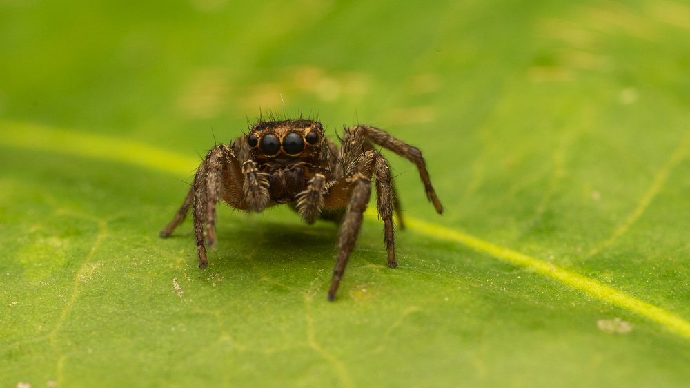 Фотография автора Gokul Addanki