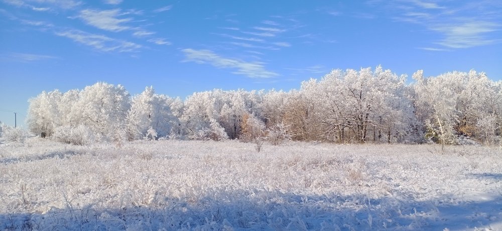 Photo #5383290