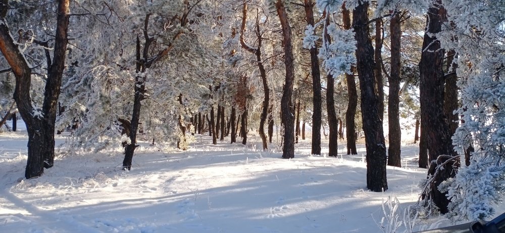 Photograph by Ирина