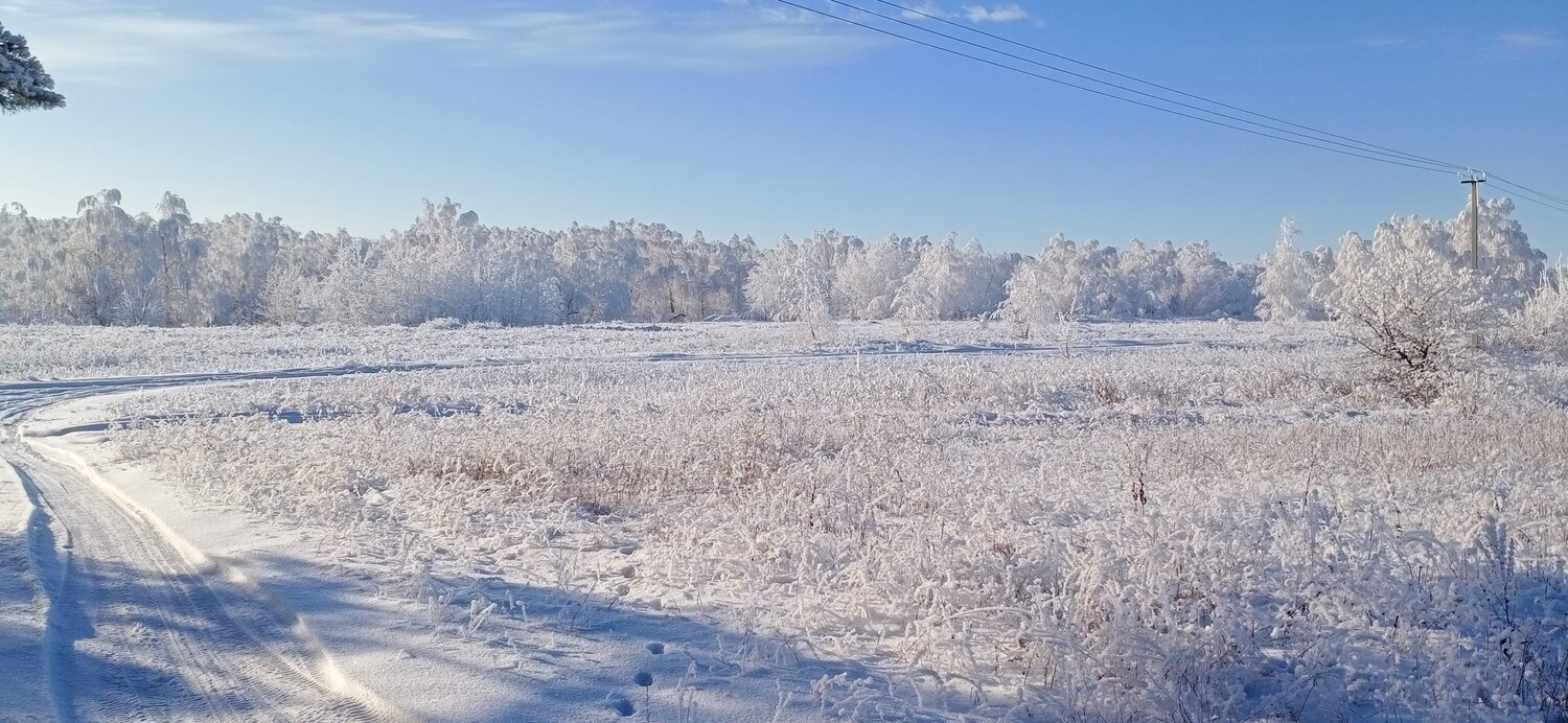 Photo #5383294