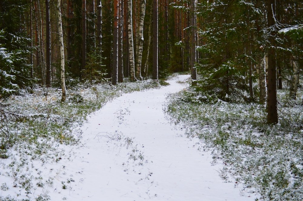 Photograph by Ольга Карабулина