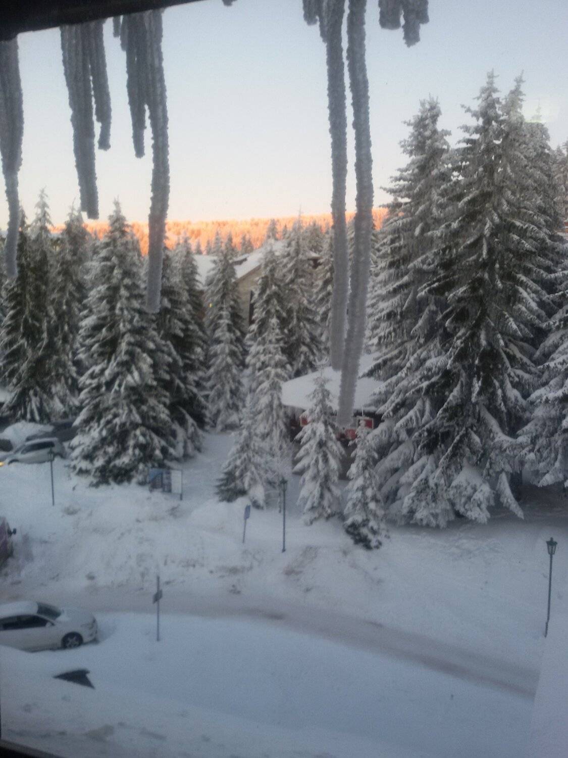 Photo #5383352