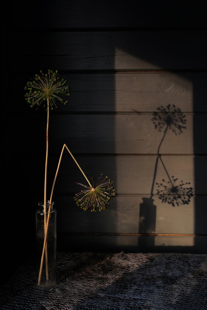 Photograph by Наталья Никитина