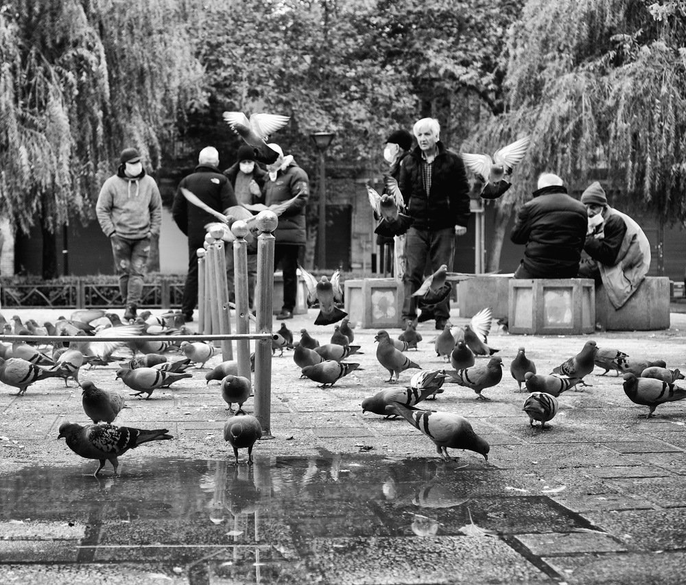 Photograph by reza lashgari