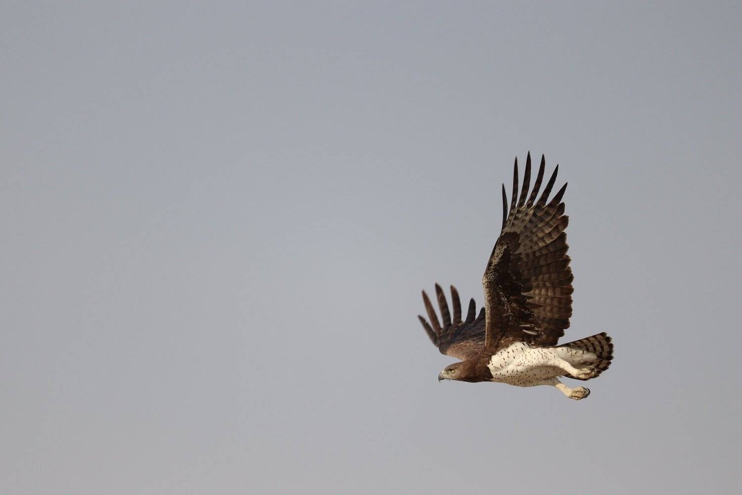 Photo #5383466