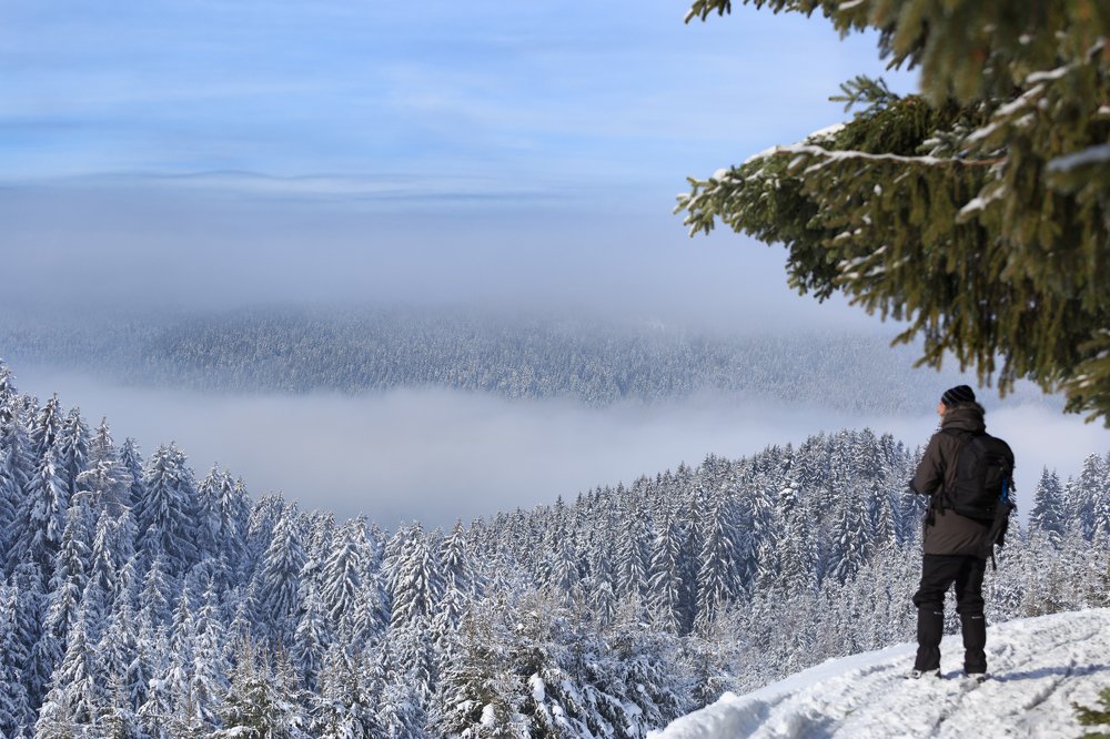 Photograph by Simona Grigorescu