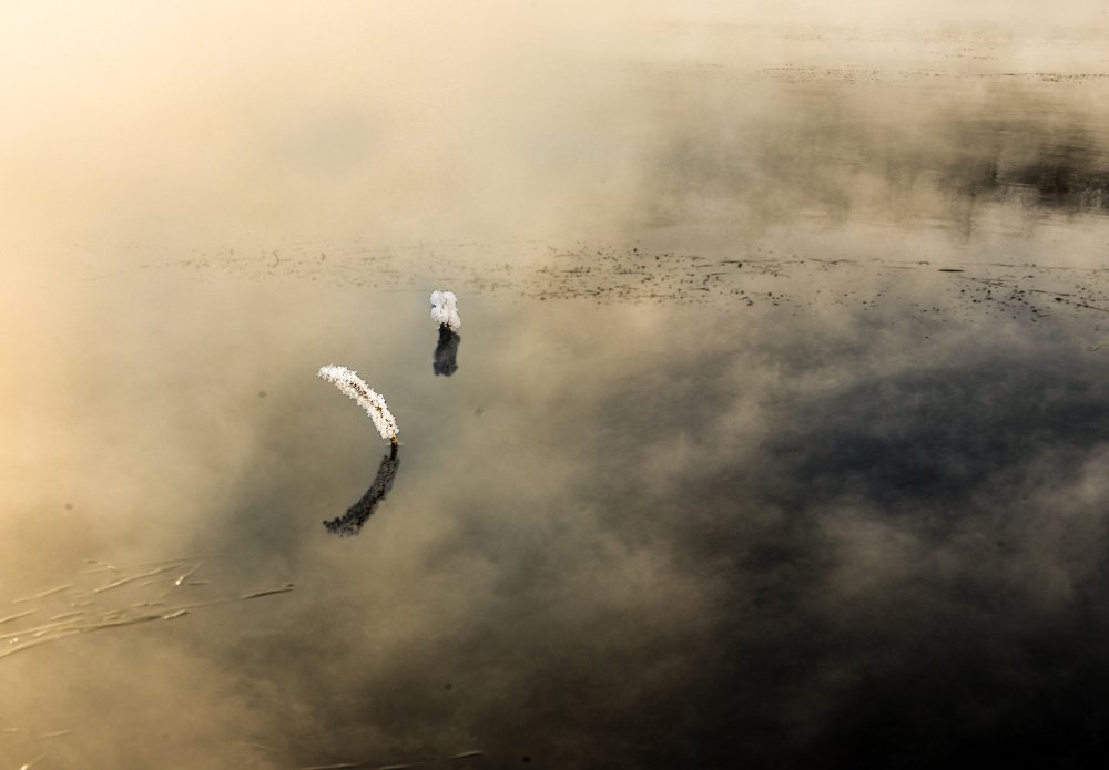 Photograph by Урасов Олег