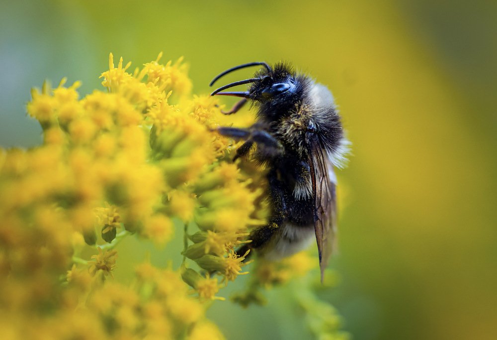 Фотография автора Helena