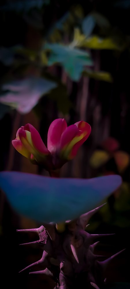 Photo #5383570