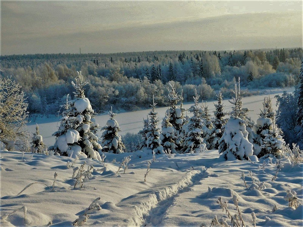 декабрь