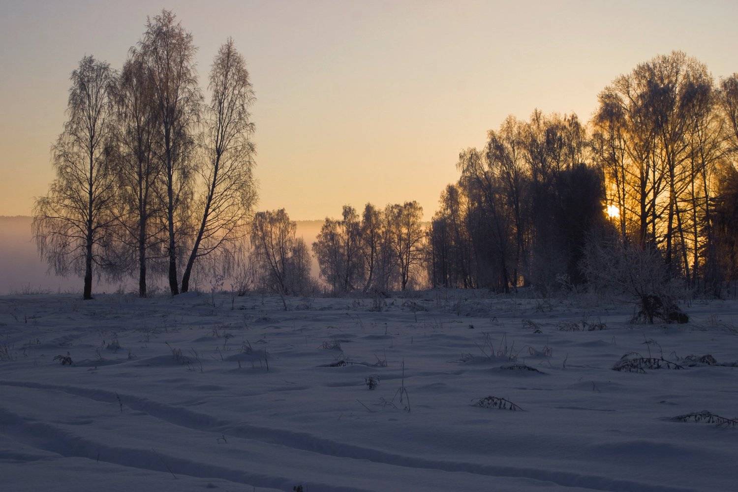 Photo #5383723