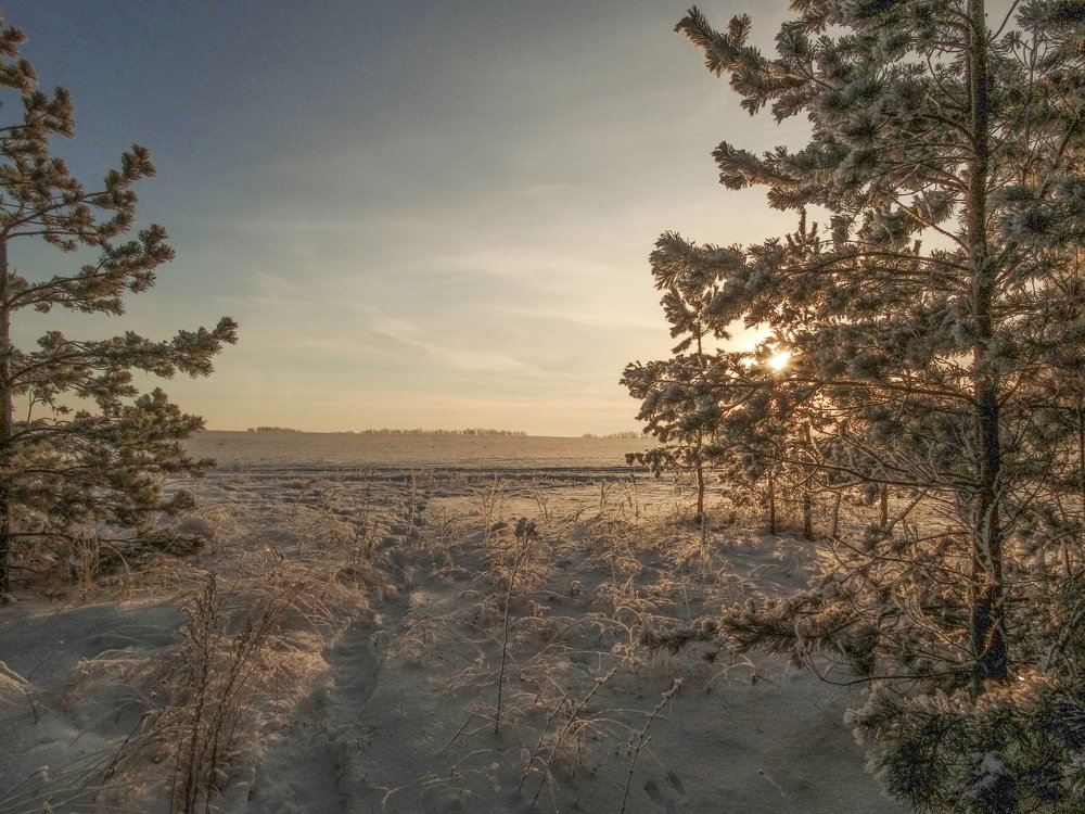 Холодное утро