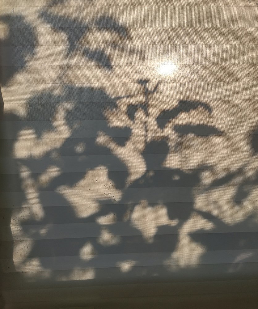 Photograph by Татьяна Панченко