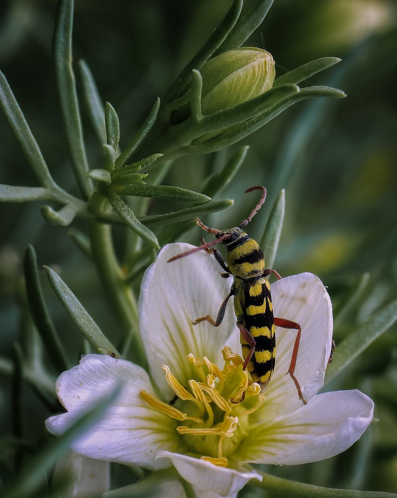 Photograph by Татьяна Ломоносова