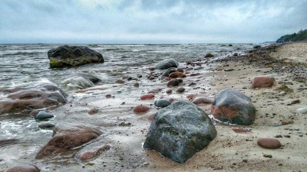 Photograph by Darius L.