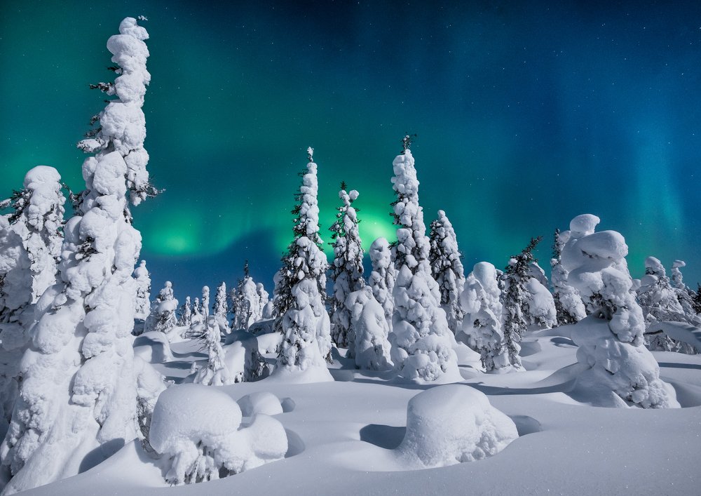 Photograph by Алексей Соколенко