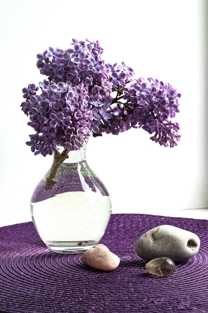 Photograph by Виктория Козинец