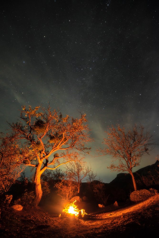 Пикник под звездами
