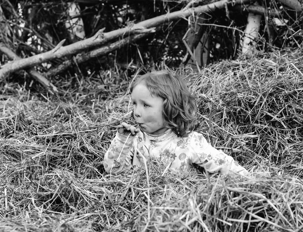 Фотография автора Анна Хабарова