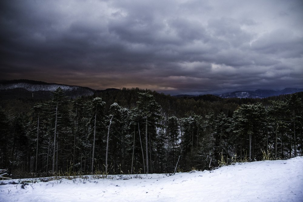 Photograph by Iulia Pana