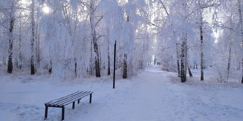 Photograph by Людмила Фризен
