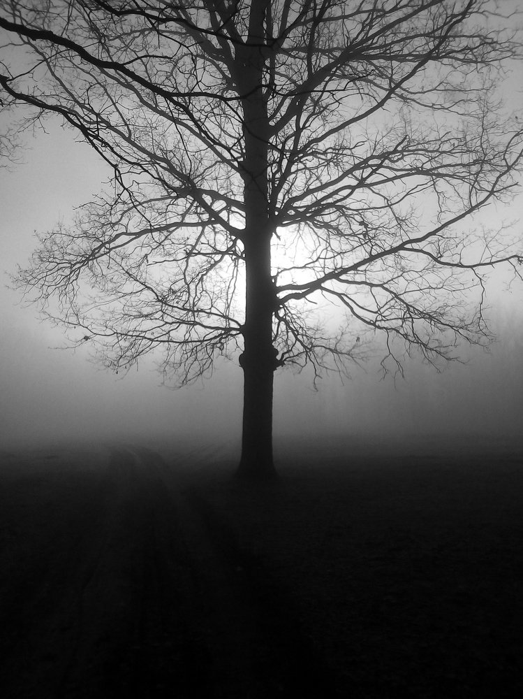 Photograph by Володимир Халєв
