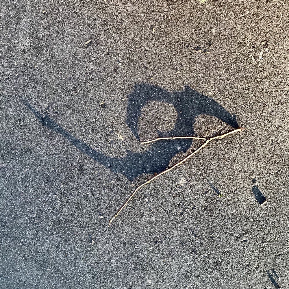 Photograph by Anna Karamurzina