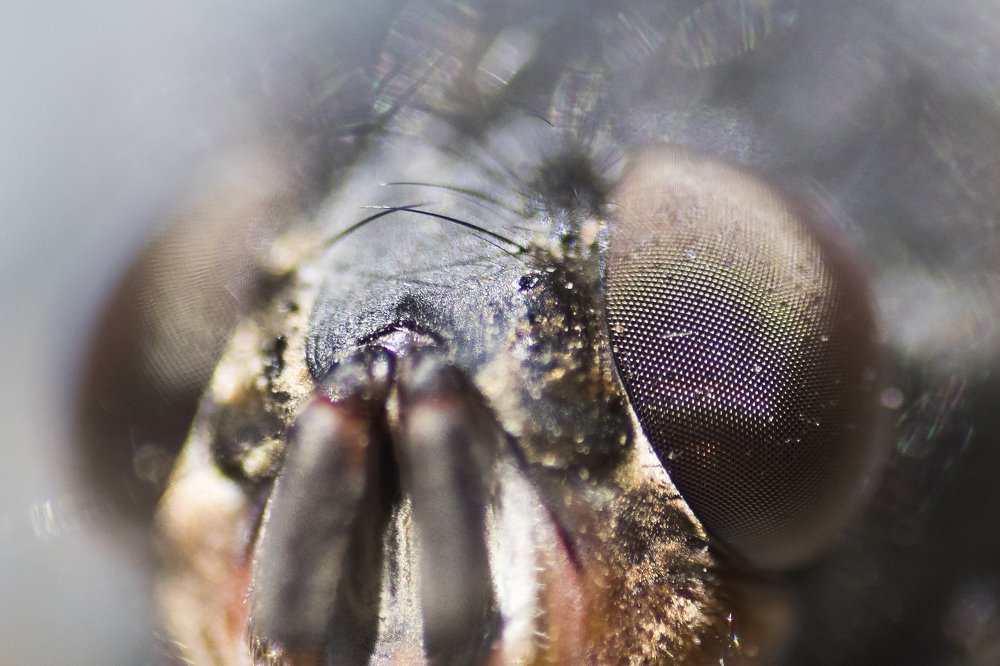 Photograph by Волгина Елена