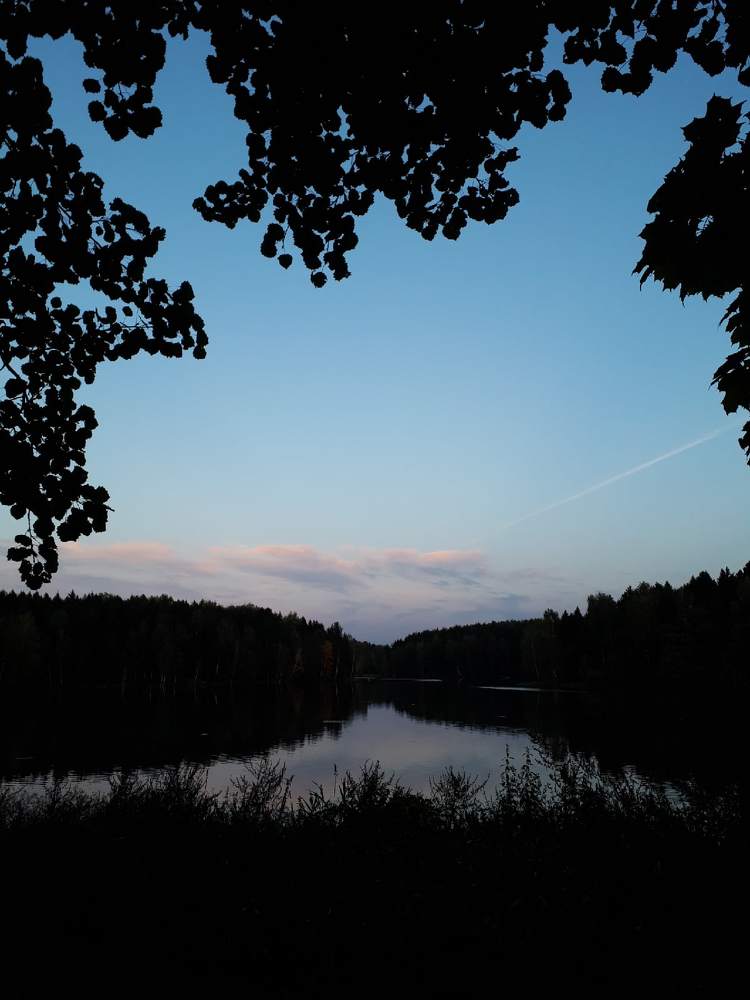 Photograph by Анастасия
