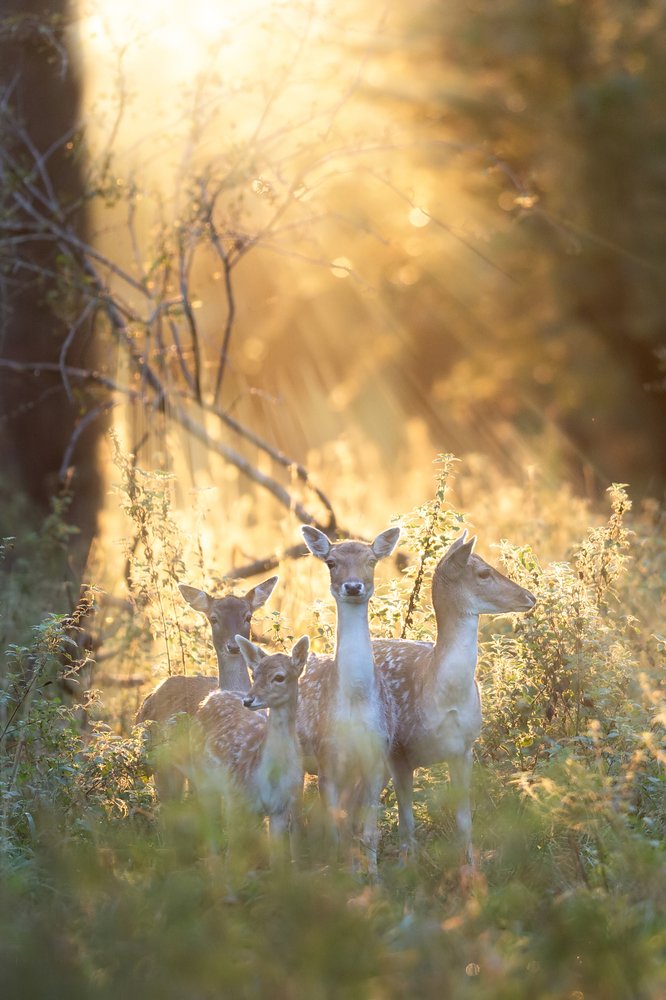 Photograph by Marcin Kaczmarkiewicz