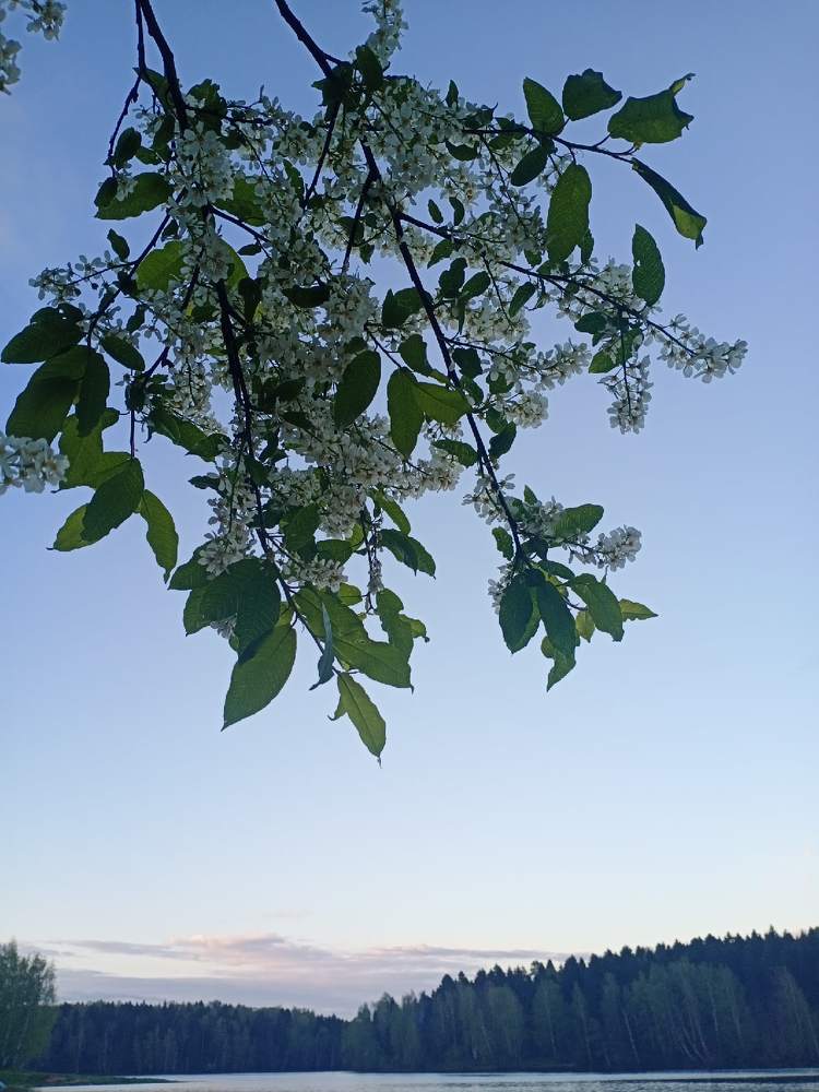 Photograph by Анастасия