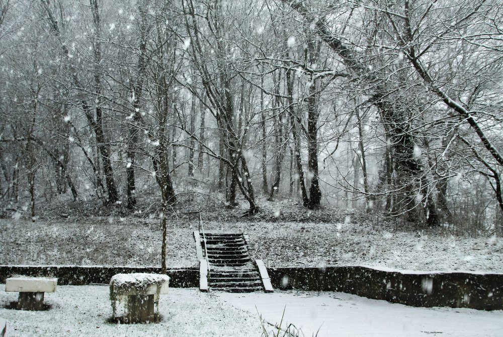 Photograph by Виктор Береснев