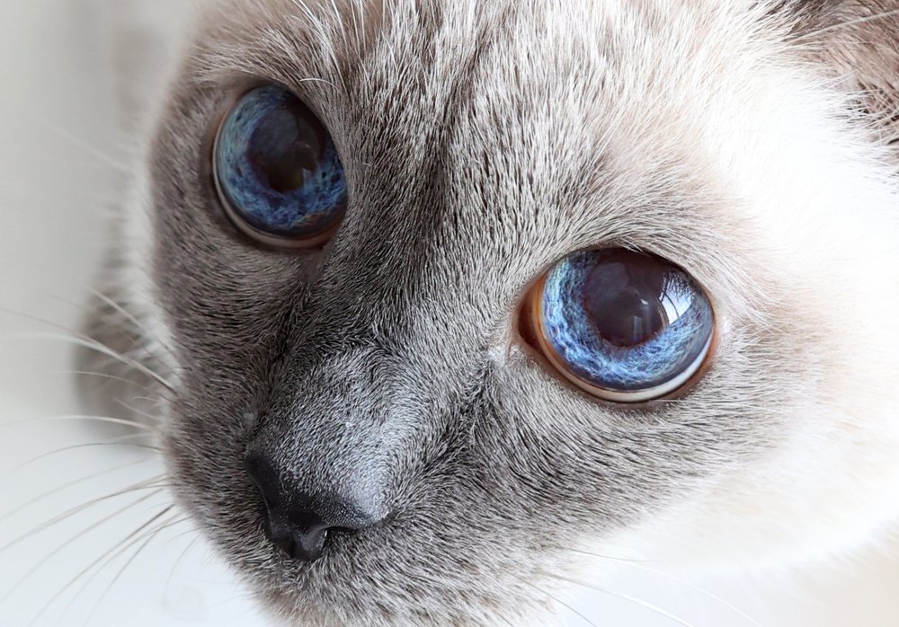 Photograph by Виктория Копытова