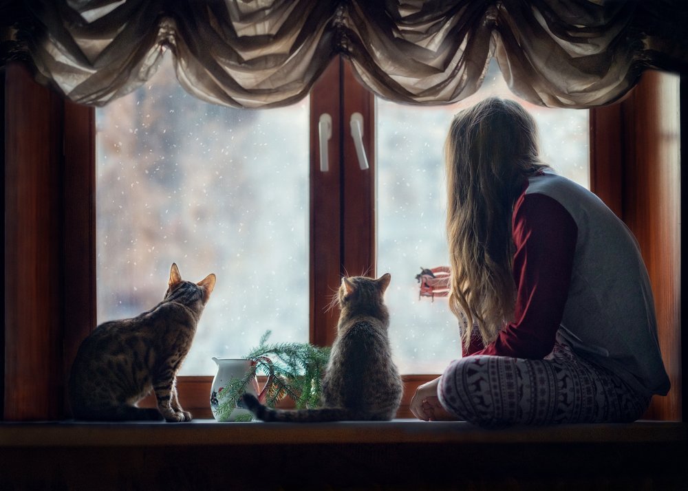 Photograph by Надежда Торопченкова