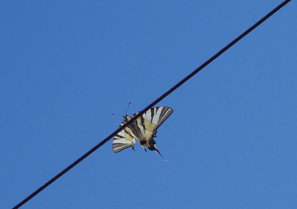 Photograph by Александр Касаткин