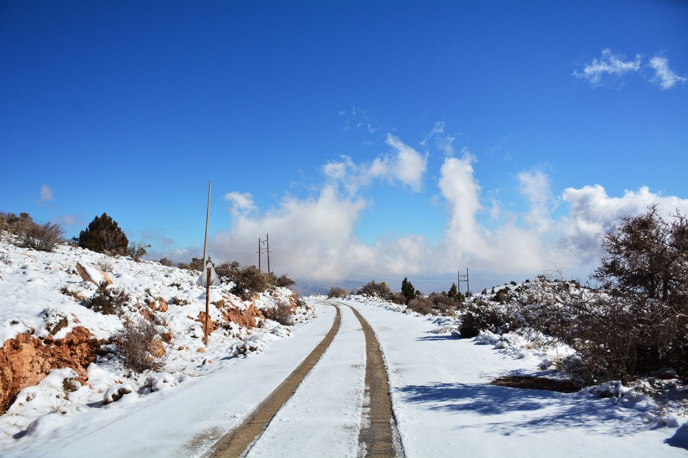 Photograph by seyedmohamad tabrizi