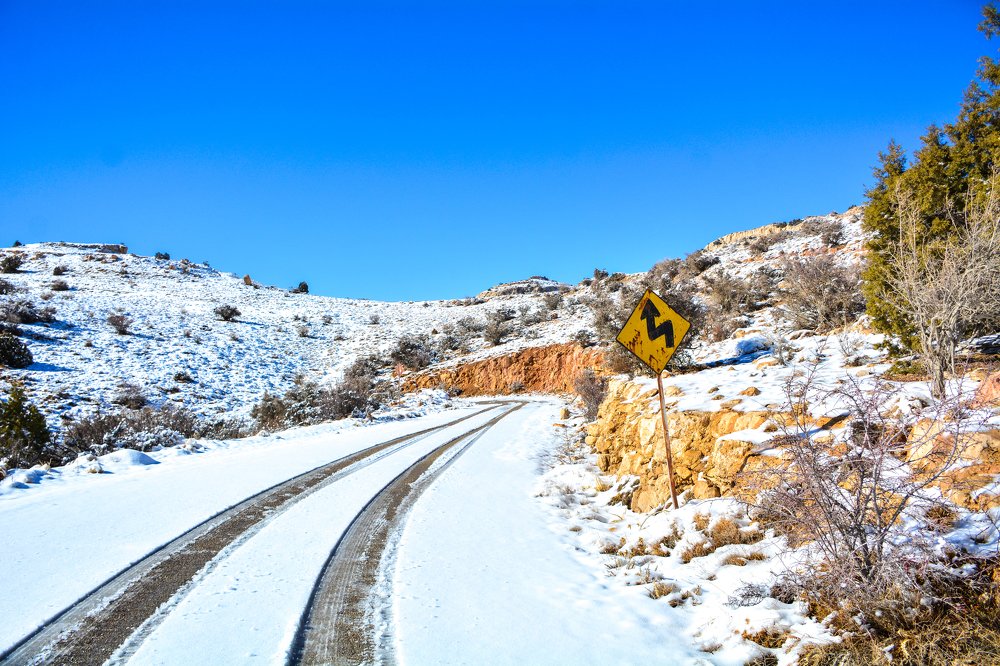 Photograph by seyedmohamad tabrizi