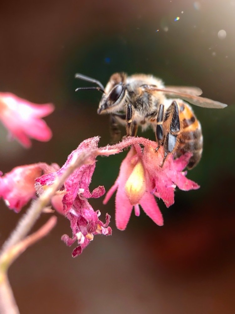 Photograph by Татьяна Левашова