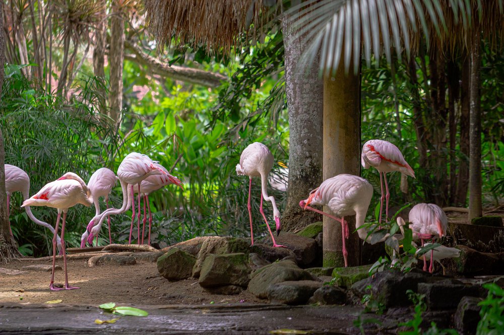 Photograph by Алексей Артышко