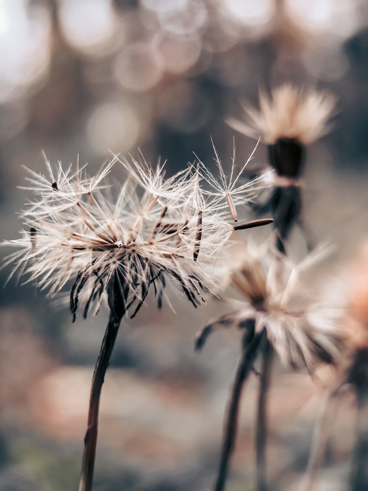 Photograph by Татьяна Левашова