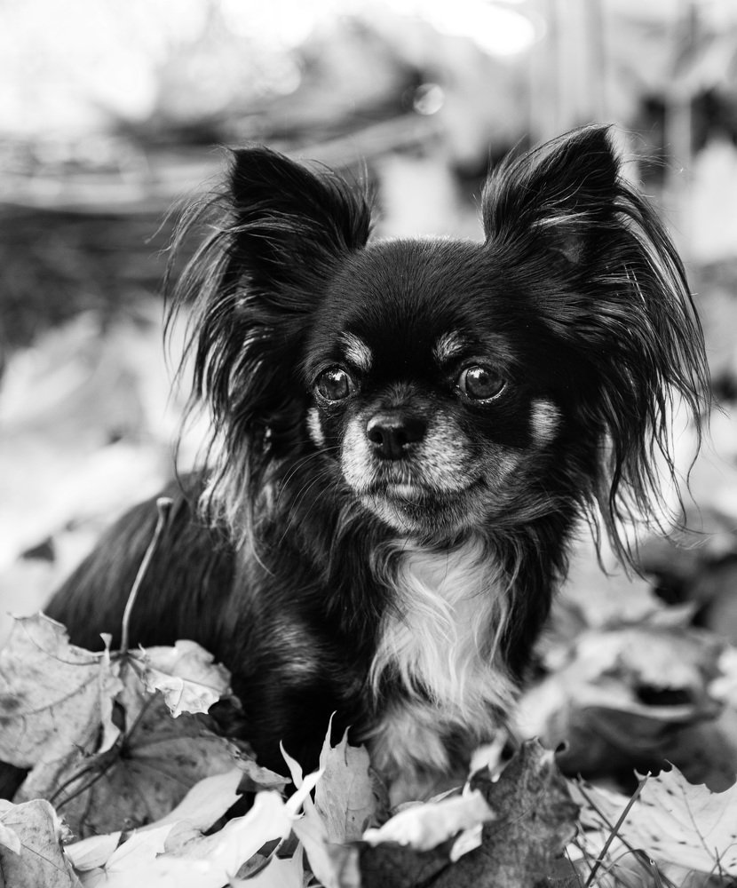 Photograph by Лариса Лофицкая