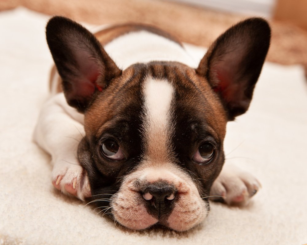 Photograph by Лариса Лофицкая