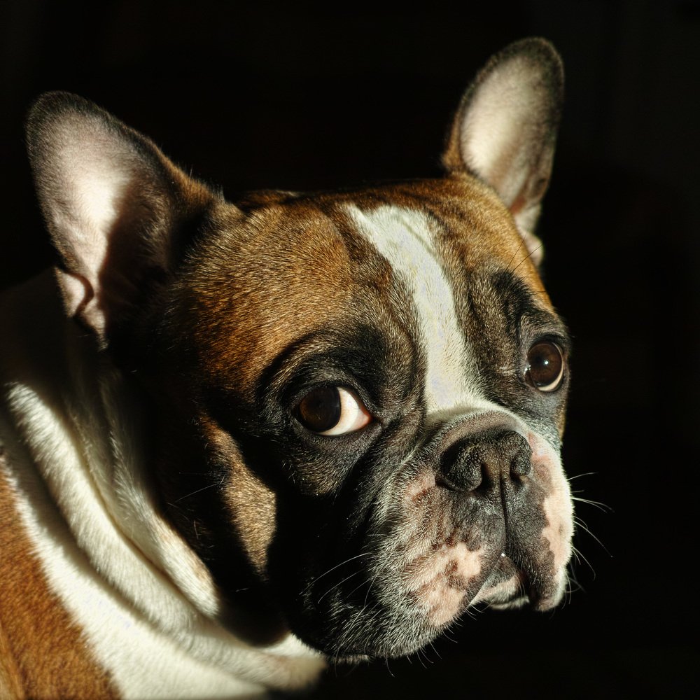 Photograph by Лариса Лофицкая