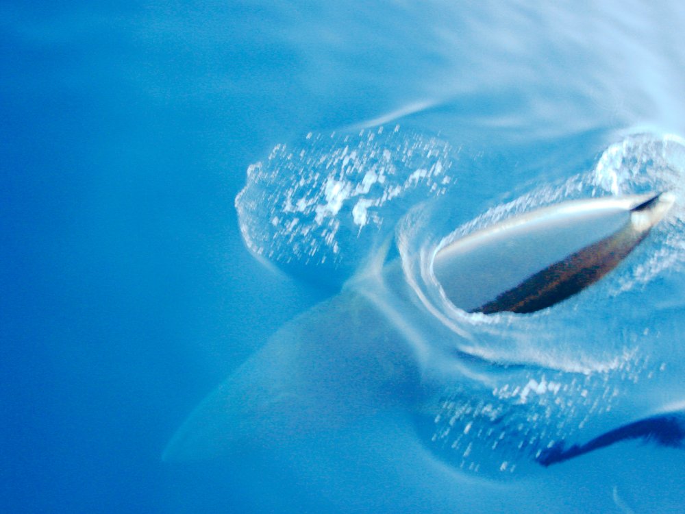 Photograph by Ivan Karavka