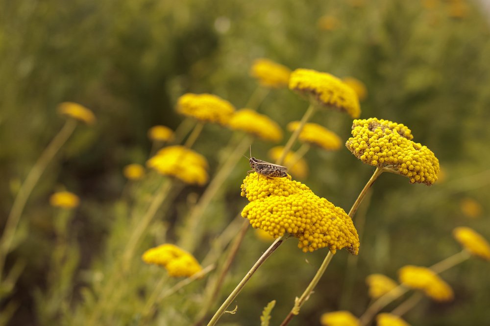 Photograph by Виктория Козинец