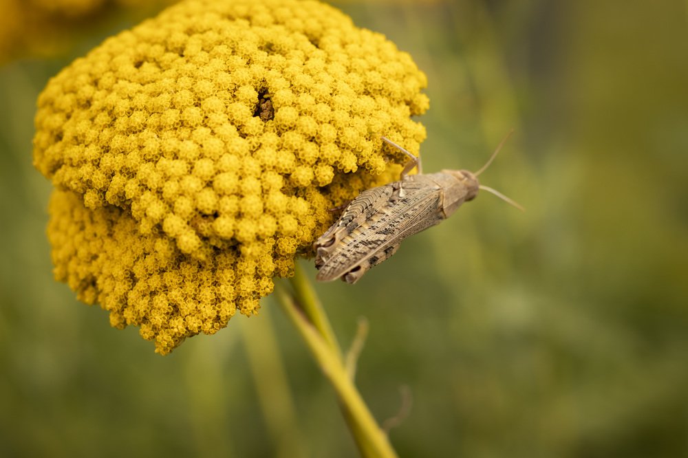 Photograph by Виктория Козинец